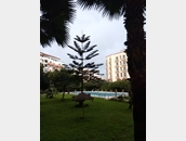 Apartamento 1 dormitorio Tanger_ 002.jpg